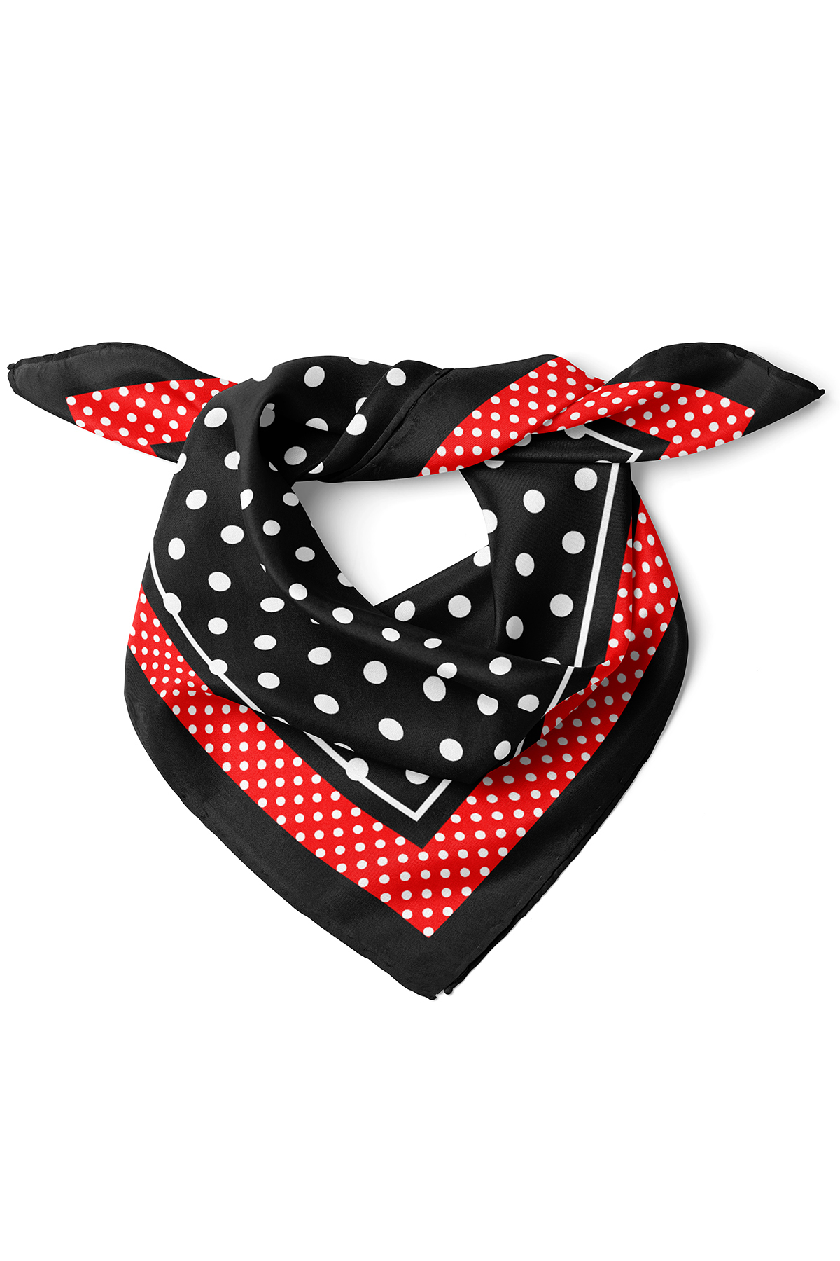 Standart - Küçük Görsel 2