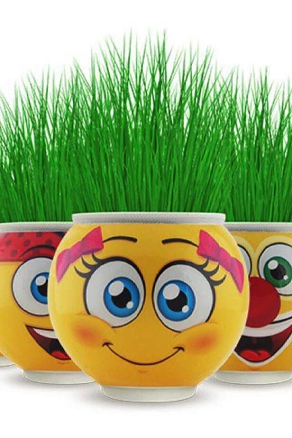 Çim adam  Çimoji  Mezuniyet ve Etkinlikler için 3 Adet  Emojinli Çim adam