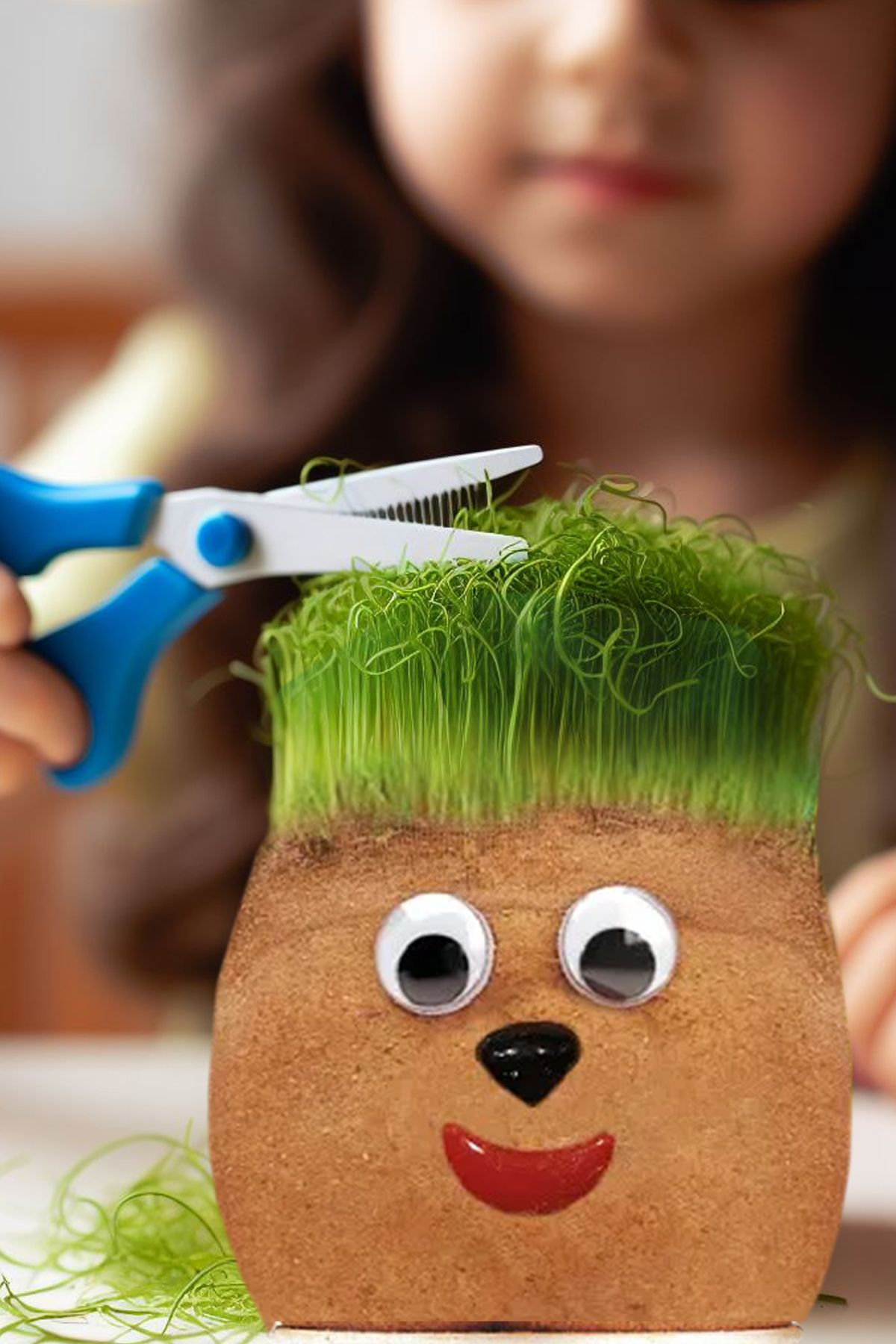 Çim Adam Yapım Seti 5 Adet  Emojinli Çim Adam  Mezuniyet ve Etkinlikler Kutlama Yaş Günü Etkinlik - Görsel 2